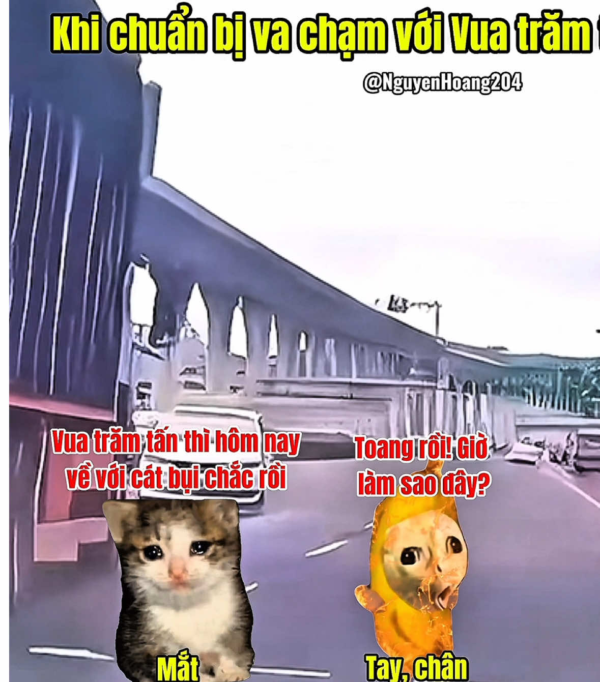 Khi bạn học được kỹ năng trong game và áp dụng thử ngoài đời #meme #catmeme 