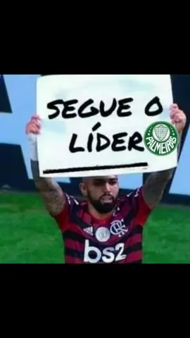 #palmeirasmilgrau #paixaonacional🇮🇹🇮🇹💚💚notiktok🇮🇹🇮🇹🇮🇹 