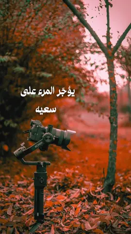 يؤجر المرء على يقينه بالله حتى وهو في قلب العجز #fyp #خواطر_عبارات_اقتباسات #حكم #اكسبلور #foryo 