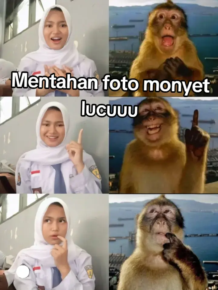 #monkeypose #mentahanfoto #trend #fyp 