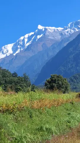 टुसे , धिप्राङ जाने बाटो
