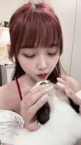 被這首洗一整天 肯爬起來跳了 （貓咪影響版#angel #不得不愛#fyp 