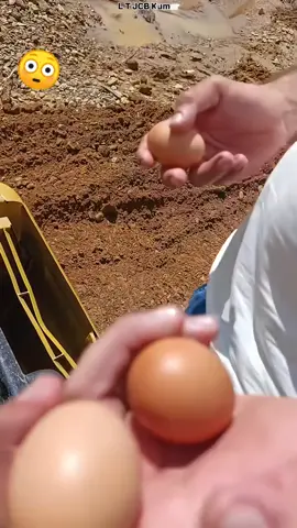 ☺️😱😱  #funnyexcavator  #pejuangrupiah  #fyppppppppppppppppppppppp 