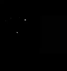 😊🕊️❤️‍🩹