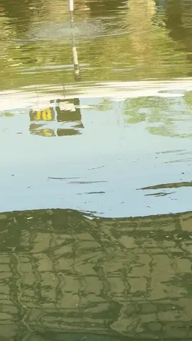 Percuma tuhan membawa mu sejauh ini hanya untuk gagal😛 #mancinghappy #mancingikanmas #fyp #mancing #capcut 