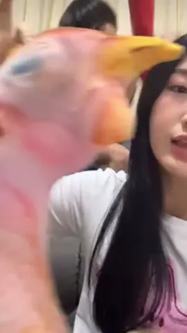 “ayam punya ayam”😌#delynnjkt48 #jkt48 #fypage #gen12jkt48 