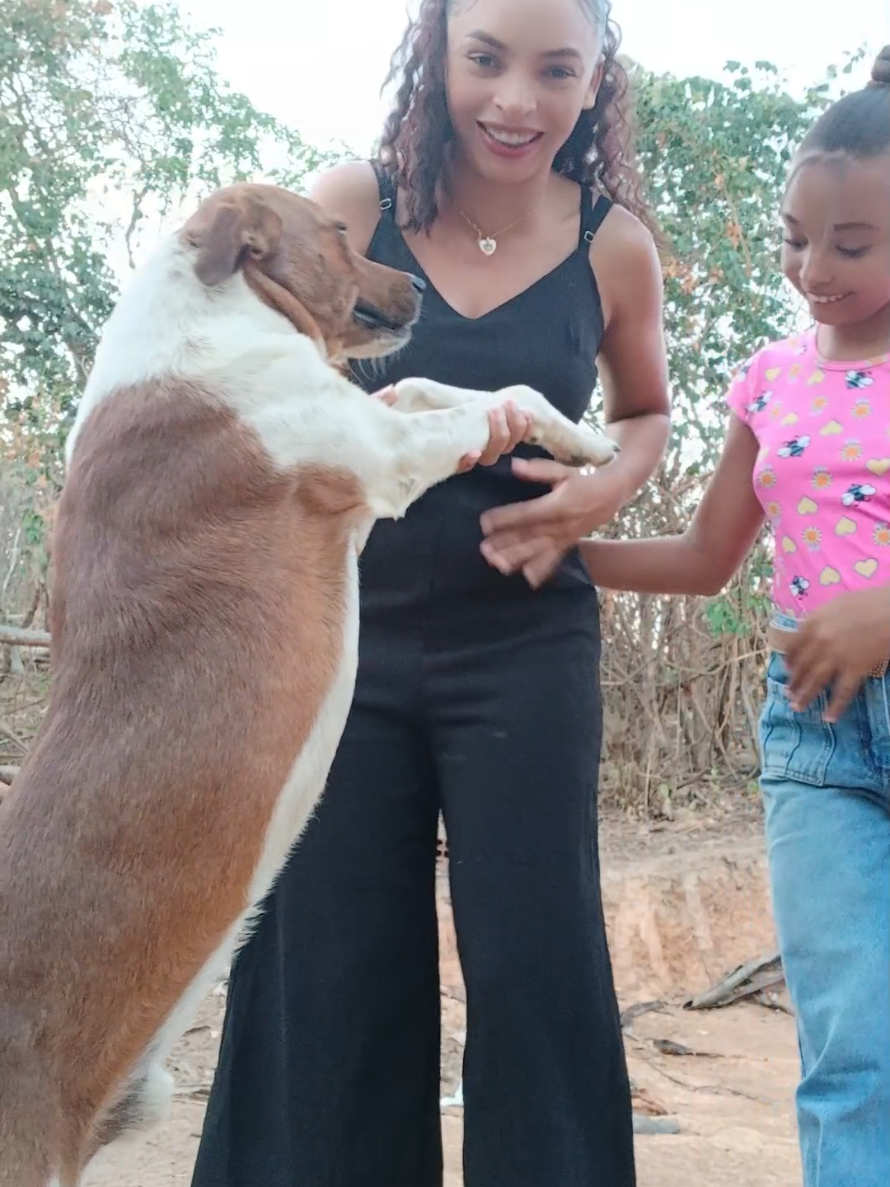 participacão especial  do golinha kkkkk