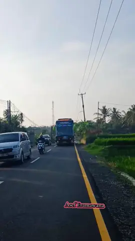 BURUH TANI TJ JEDHA #fypage #fyp #busviral #tunggaljayajedha #tunggaljayatransport 