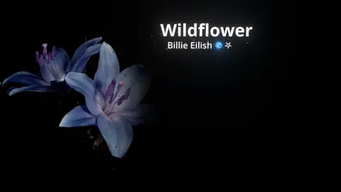 Wildflower #billieeilish #wildflower #lyrics #hannalyricss #fyp 