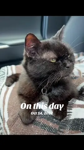 #onthisday 