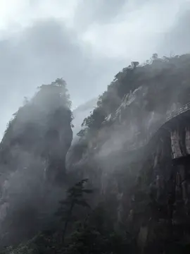 #lucuyentiensinh #duhihongtran 