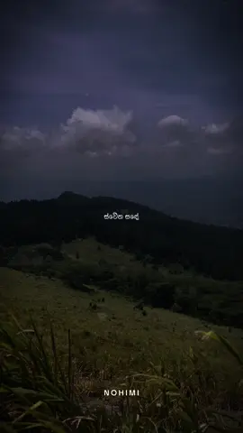 ස්වේත සඳේ රෑට නුඹේ පාලු මකාලා🌙🥀 #nohimi #foryou #swethasande #viral #nohimisl 