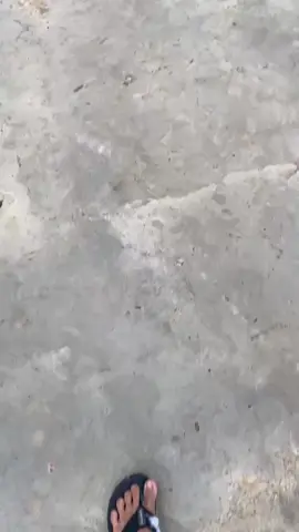 #fypシ゚viralシfypシ゚viralシalシ #katingankalteng #fypシ゚viral🖤tiktok