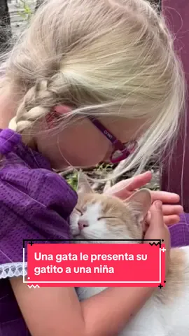 El amor más puro ❤️ #gatos #gatitos #parati 