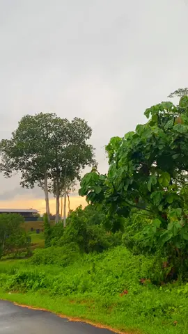 Potong sendiri angkat sndiri la🤭🤣#semangatkawan #sanasinikawan #orisawit🌴 #gengbesitajamjohor🇲🇾💪🚛 