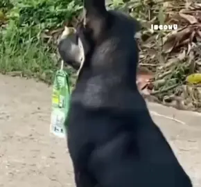 #သူတို့လည်းသူတို့အကြောင်းနဲ့သူတို့ပေါ့  #flypシ 