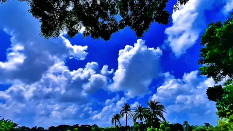 প্রকৃতির নিস্তব্ধতা, যা হাজারো কথা বলে 😊🌿 #viral #fyp #anfeezemyaccont #viral_video_tiktok #foryoupageofficiall 