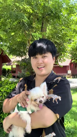 น้องหมาก็ต้องเลี้ยงเรื่องสุขภาพก็ต้องดูแล #อาหารเสริมปอด #บำรุงปอด#บํารุงปอดมิแพ้ ##เหนื่อยง่าย@Aeronyx-แอโรนิกซ์ 