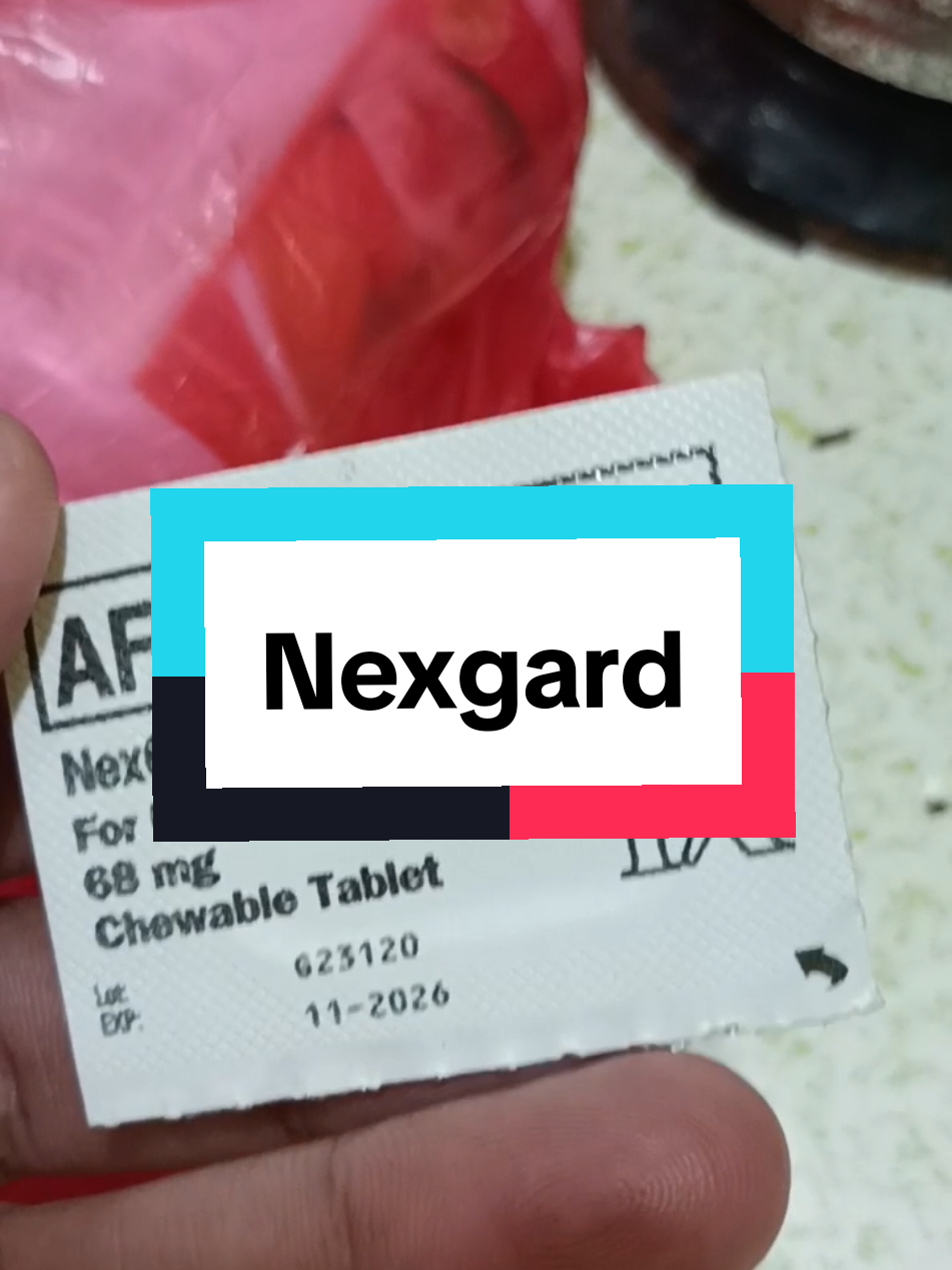 #nexgard  #nexgardspectra #antitick #petcare #fyp 