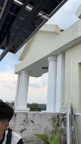 Ví da bò - đơn giản- tinh tế - sang hơn cả lời nói ##vida #ví #đẳngcấp #dangcapphaimanh 