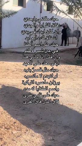 #خيل_وخياله🐎 #خيل_عربي_اصيل🐎🐎 #foryou #شمر 