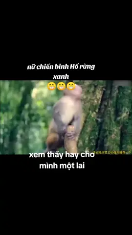 phim hành động võ thuật 💓💯