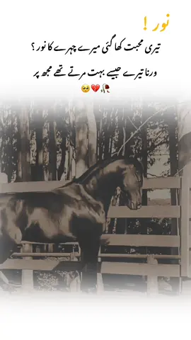 #unfreezmyaccouuntplzz🙏😥🥹 #pleasesupportme🚩 #dontunderviewmyvideos🥀خواہش #urdupoetry💝💗 #unfrazemmyaccount 