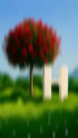 #pyfツviral_❤ #ፍቅር➻ብቻ🖇ፍቅር➻ብቻ❤🥀🔐 