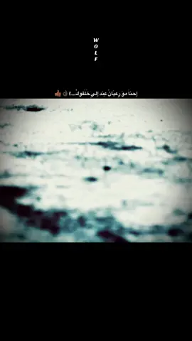 الأصلي …!⏳