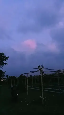 otw Indramayu, selamat sampai tujuan🙏#fyp #Ula_Perpusuh #sujama_jaya_mandiri #DriverMudaPunyacerita #PecintaLintas 