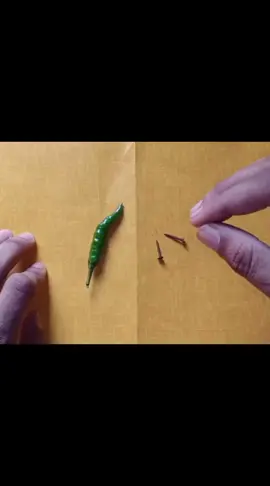 foryoupage #wazifa #amliyat#taveez#sutafreeka🇿🇦  #plzsupport