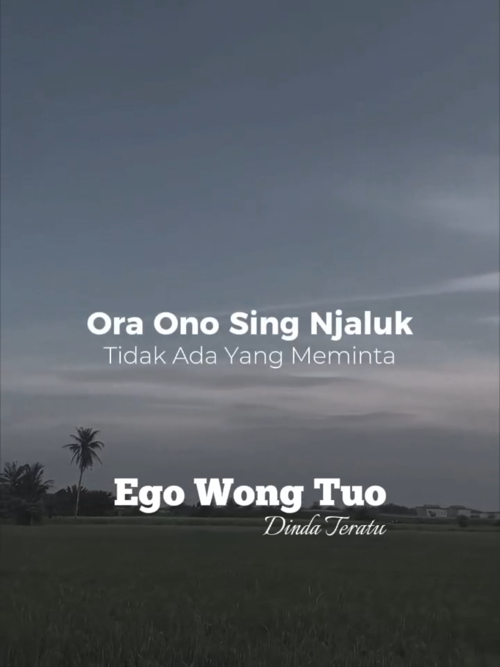 Dinda Teratu - Ego Wong Tuo #dindateratu #egowongtuo #liriklagu #lagujawa #CapCut #fyp 