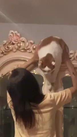 ますます甘えん坊ニャンに😽