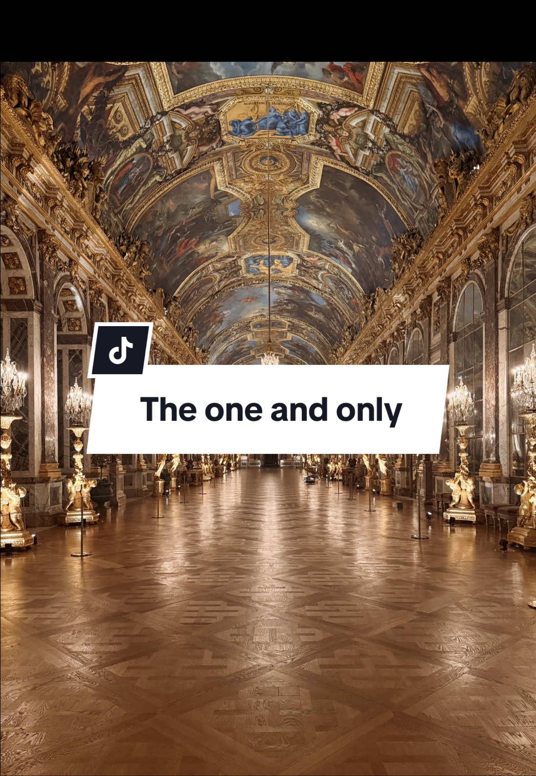 ✨ Name a more beautiful place if you dare #palaceofversailles #chateaudeversailles #versailles 