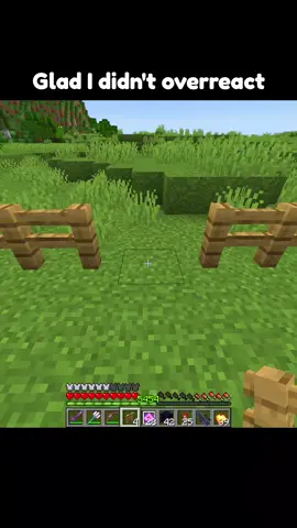 Glad I Didn't Overreact #Minecraft #minecraftmemes #funny 