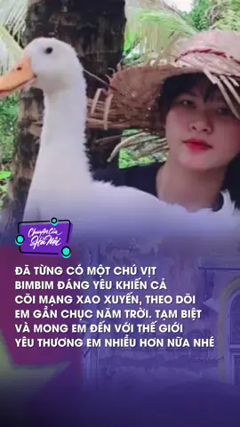 Tạm biệt em nhé Bim ơi 🥺 #cchn #news #tiktoknews #tiktokviral 