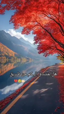 يا كراما صبرنا عنكم محال #صور_اهل_البيت_ع_بدقة_14k #خلفيات_بدقة_14k #دعاء_العهد_محسن_فرهمند #زيارة_ال_ياسين_محسن_فرهمند 