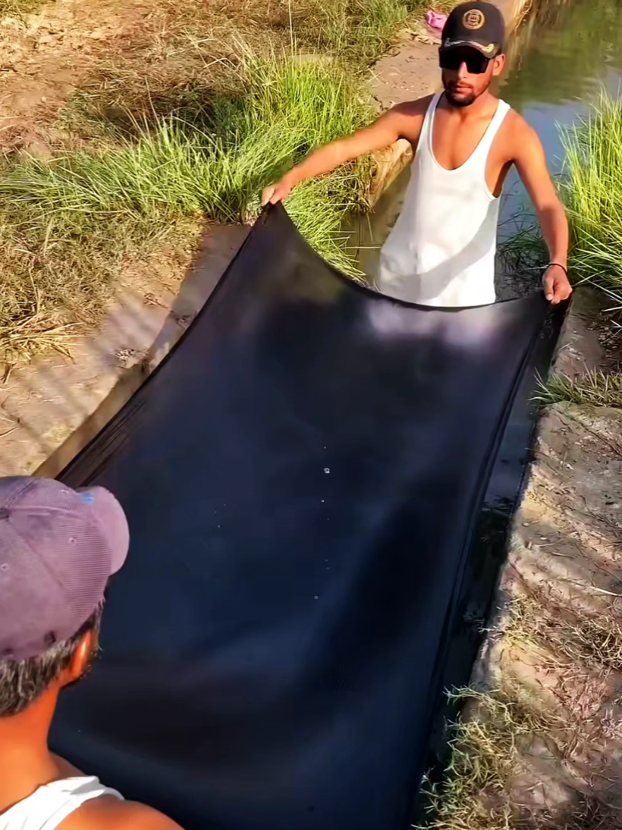 Look at this amazing scene of catching fish 🐟😱 #fyf #tiktok #fishtok #hunting #fishnets 