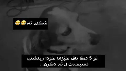 😂😂#alio056 #tiktok_alio056 #alio056_foryouuu 