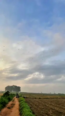 pagi yg cerah#layanganpapiran #layangan #lyang #layanganpapiranlampung #masukberanda 