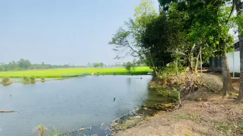 ❤️‍🩹😊#mahfuj88 #viraltiktok #foryou 