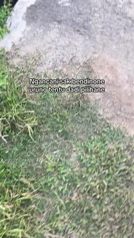 😌#kekwaanyoyareal 