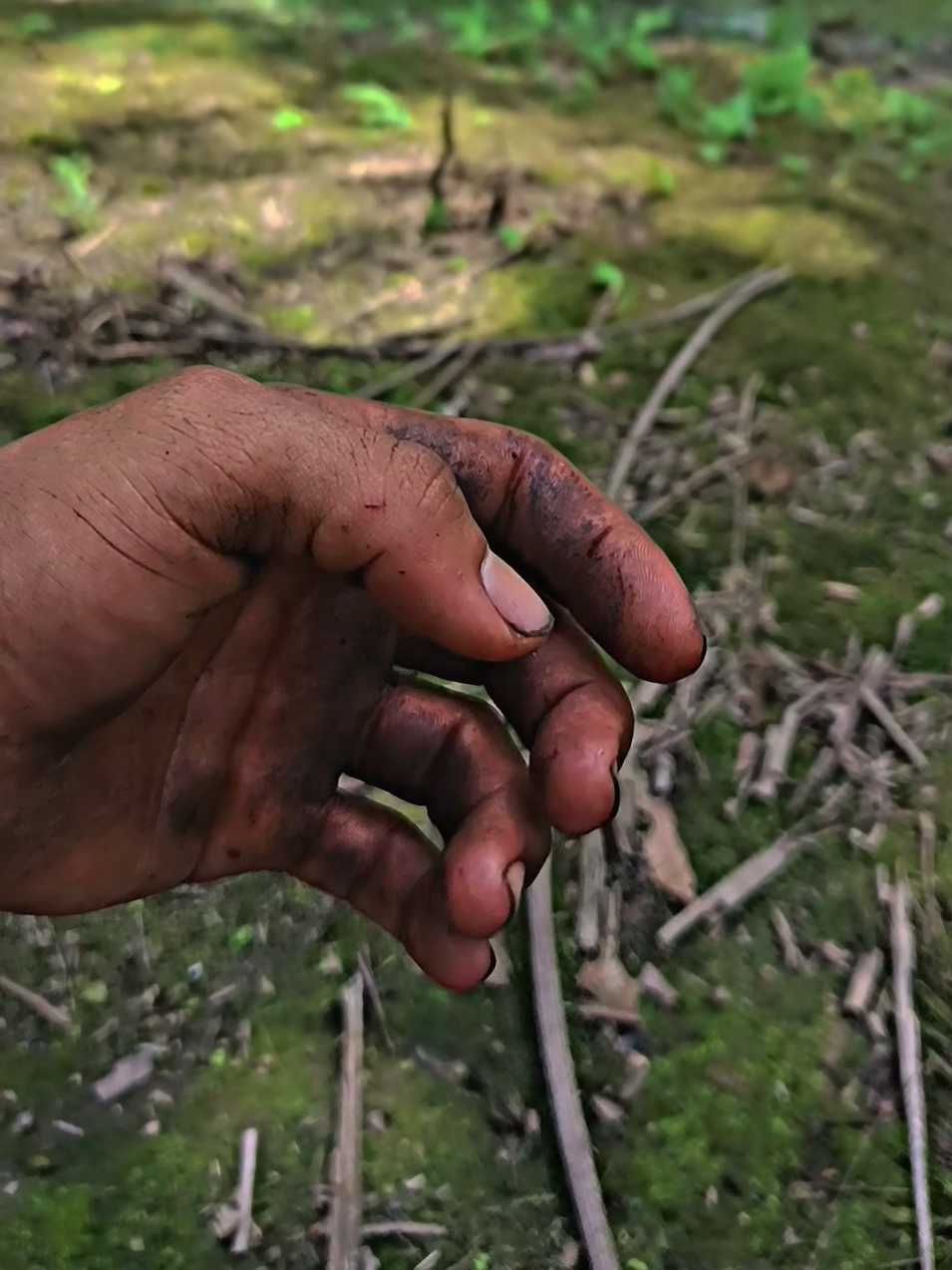 haya seorang kuli sawit yang  yang sedang berjuang #kulisawit