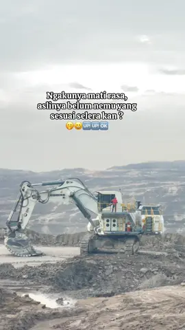 Upss ketahuan #masukberandafyp #tambangbatubarakalimantan #kulitambang #operatormuda #fyppppppppppppppppppppppp 