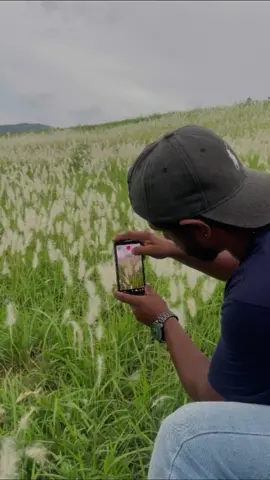 Creative Video Tip 💚 #fypシ゚viral #nuwanbuddika89 #mobilefilmmaking #viralvideo ##creative 