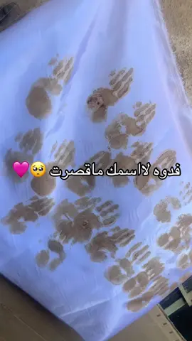 #هلوله للعباس