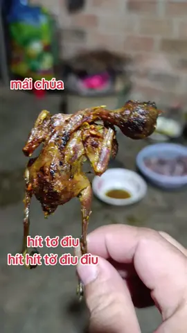 chào mào mái #kingchaomao #chaomao #chaomaohot #chaomaohotdau #chaomaobaydau 