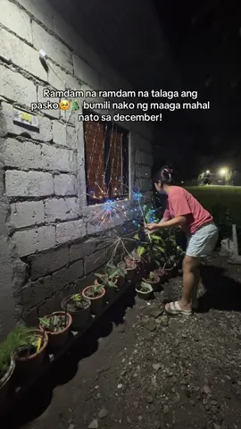 bumili nako ng maaga mahal nato sa december!🎄🎅 #christmaslights #solarchristmaslights #christmasdecor #fireworkschristmaslight #christmascountdown 