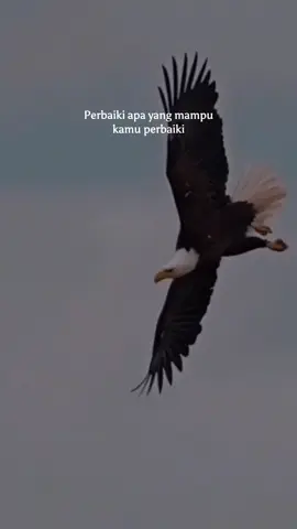 #storyanakrantau45 