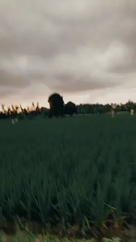 lek g gandolan bojone Dewe mosok AREP gandolan bojone wong...kok malah di seneni 🤣🤣